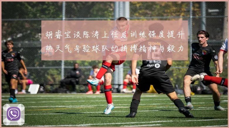 胡睿宝谈陈涛上任后训练强度提升热天气考验球队的拼搏精神与毅力
