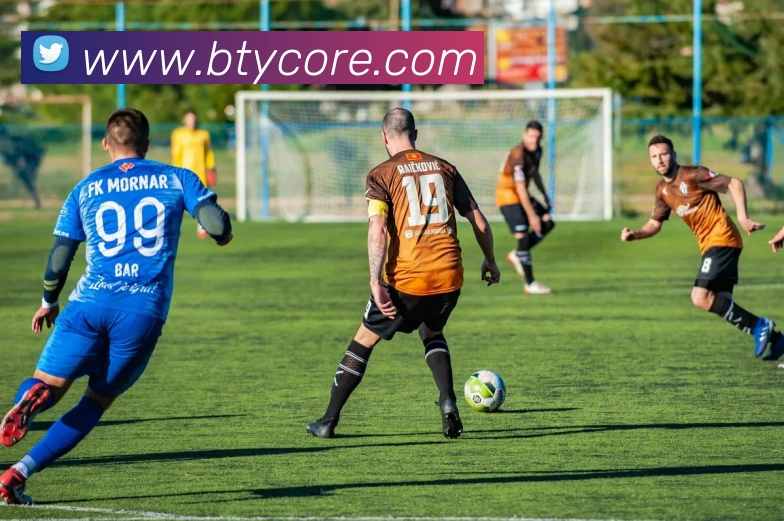 b体育平台生态图